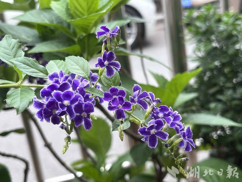 轮盘游戏下载